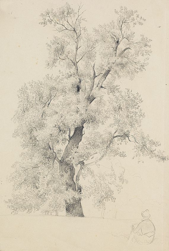 Friedrich August Schlegel - Zeichner vor einem Baum