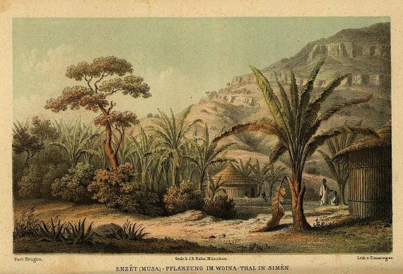 Martin Theodor von Heuglin - Reisen in Nord-Ost-Afrika