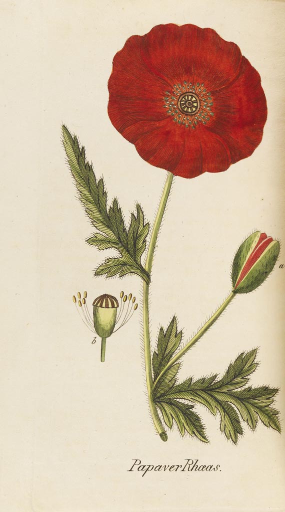 Jens S. Heger - Herbarium pharmaceuticum. 1825