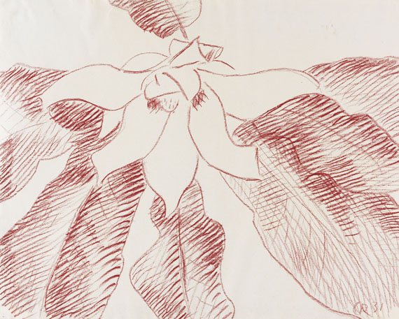 Rohlfs - Große Magnolie
