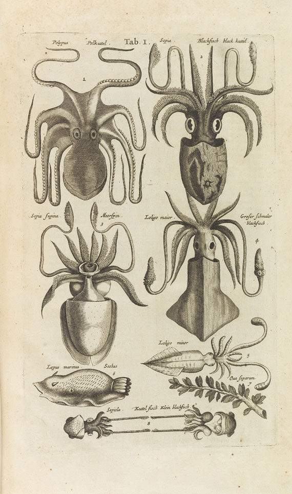 Johann Jonston - Historiae naturalis. 1657